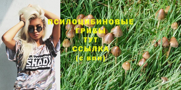 COCAINE Медногорск