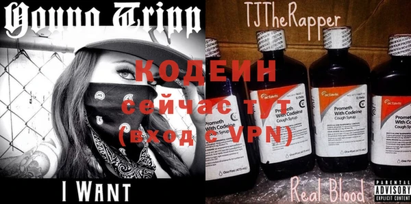 герыч Мегион