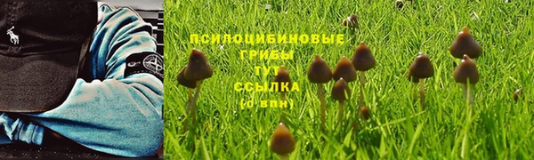 спайс Медвежьегорск
