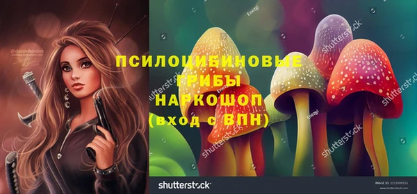 спайс Медвежьегорск