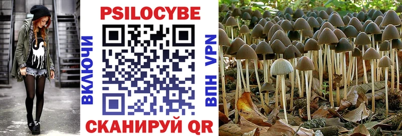 Псилоцибиновые грибы Magic Shrooms  Купить  Дубна 